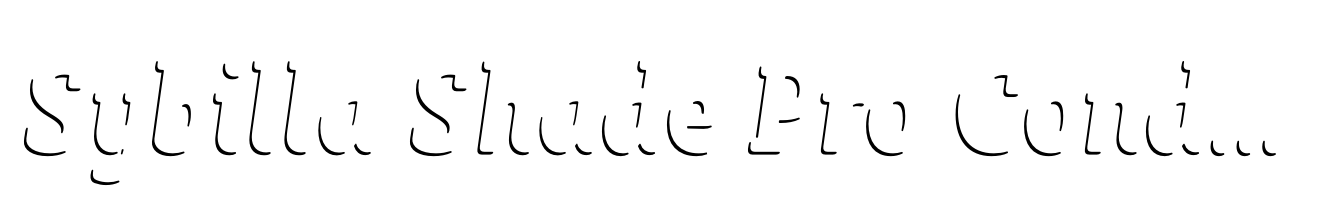 Sybilla Shade Pro Condensed Medium Italic